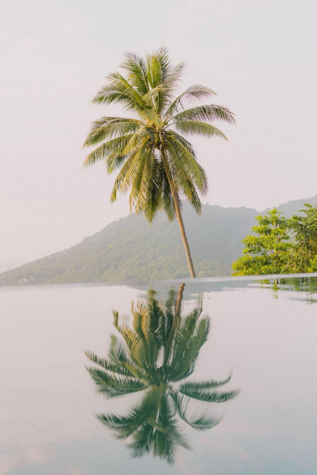 Perfect View Pool Villa Ko Tao Dış mekan fotoğraf